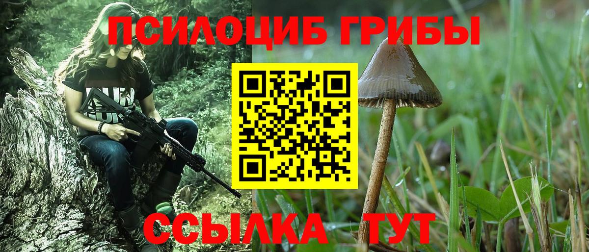 Галлюциногенные грибы ЛСД  как найти наркотики  Балашов  Вход с VPN 