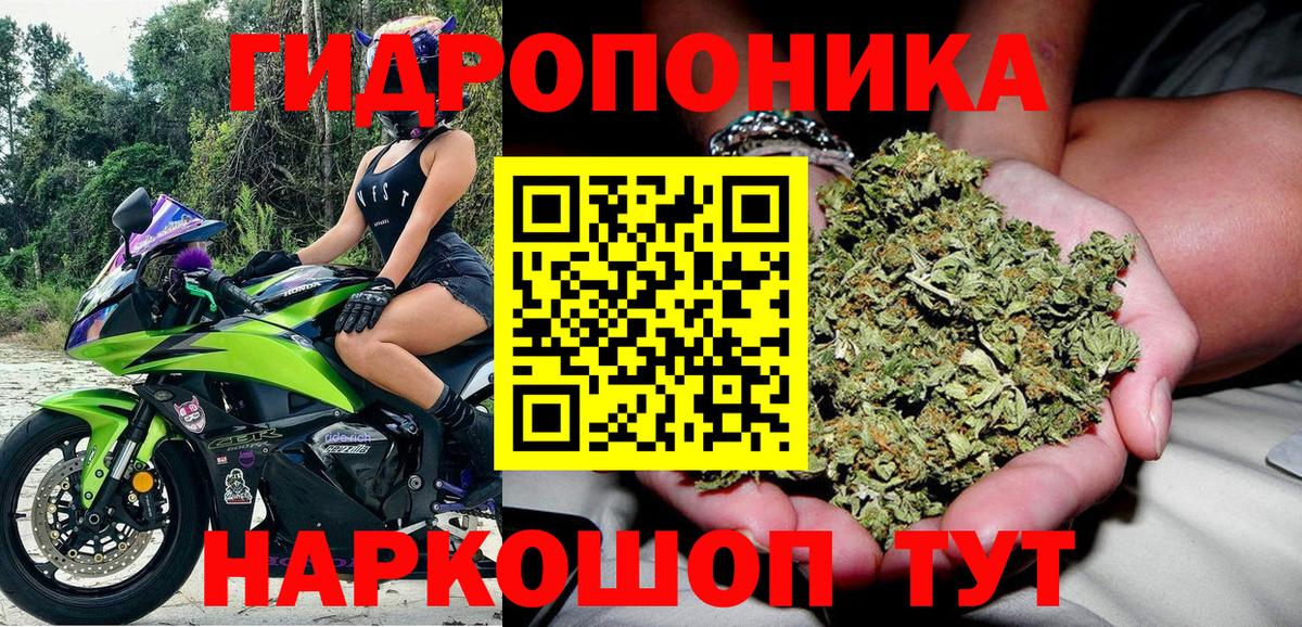 Бошки Шишки VHQ  Вход с VPN  Бошки Шишки тримм  Балашов 